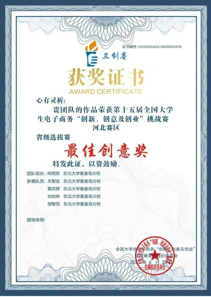 E-commerce Innovation · Best Creativity Award