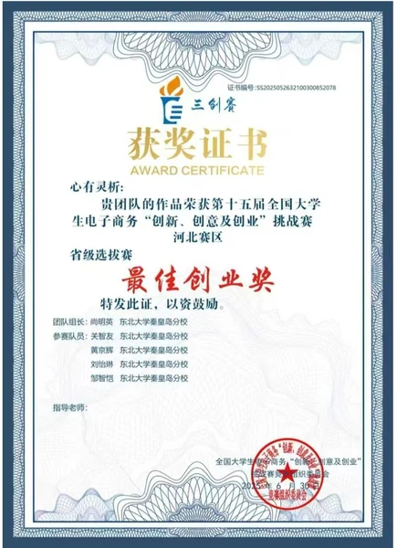 E-commerce Innovation · Best Entrepreneurship Award