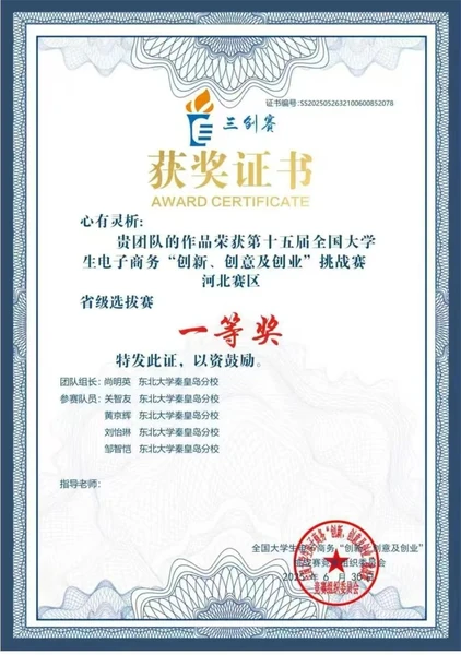 Provincial First Prize · E-commerce Innovation