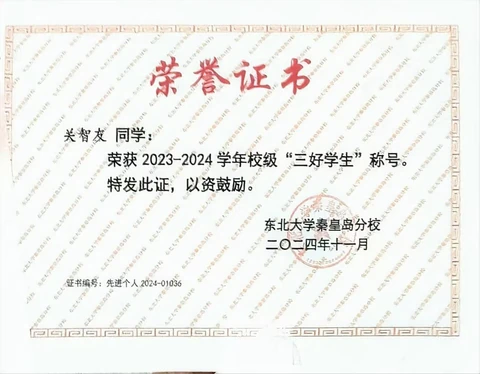 University Merit Student