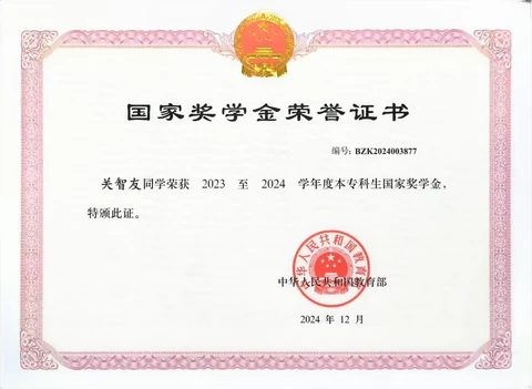 National Scholarship certificate