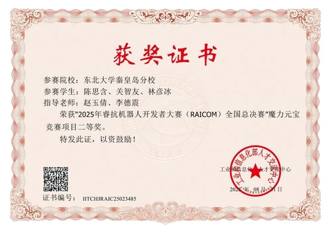 National Second Prize · RAICOM